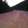 lipa_blidinje_2014005