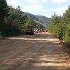 lipa_blidinje_2014010
