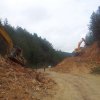lipa_blidinje_2014030
