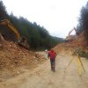 lipa_blidinje_2014032