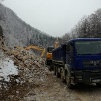pavlovica012