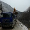 pavlovica015