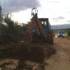 tg_lipa_2014008