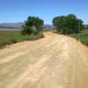 tg_lipa_2014011