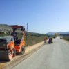 tg_lipa_2014029