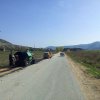 tg_lipa_2014034